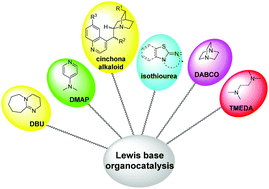 Graphical abstract: A theoretical review for novel Lewis base amine/imine-catalyzed reactions