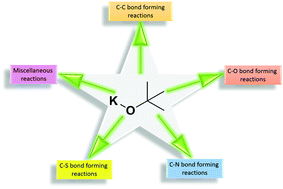 Graphical abstract: Potassium tert-butoxide mediated C–C, C–N, C–O and C–S bond forming reactions