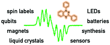 Graphical abstract: Recent advances in the chemistry of benzo[e][1,2,4]triazinyl radicals