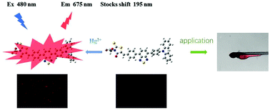 Graphical abstract: A novel benzothiadiazole-based and NIR-emissive fluorescent sensor for detection of Hg2+ and its application in living cell and zebrafish imaging