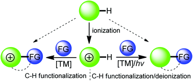 Graphical abstract: The C–H functionalization of organic cations: an interesting and fresh journey