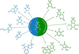 Graphical abstract: Five-membered cyclic sulfamidate imines: versatile scaffolds for organic synthesis