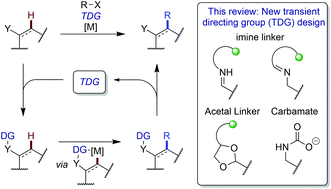 Graphical abstract: Transient imine directing groups for the C–H functionalisation of aldehydes, ketones and amines: an update 2018–2020