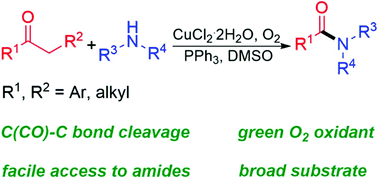 Graphical abstract: Copper-catalyzed aerobic oxidative C–C bond cleavage of simple ketones for the synthesis of amides