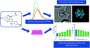 Graphical abstract: Intrinsic fluorescence properties of antimalarial pyrido[1,2-a]benzimidazoles facilitate subcellular accumulation and mechanistic studies in the human malaria parasite Plasmodium falciparum