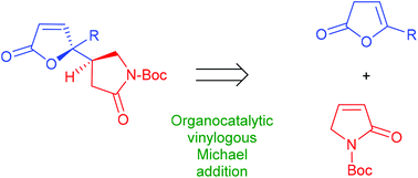 Graphical abstract: Asymmetric vinylogous Michael addition of 5-substituted-furan-2(3H)-ones to an α,β-unsaturated-γ-lactam