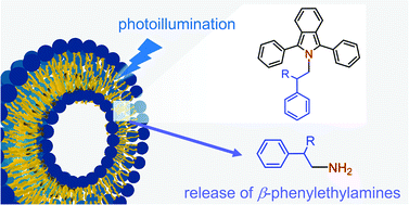 Graphical abstract: Photodelivery of β-phenylethylamines