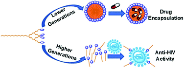 Graphical abstract: Evaluation of pH-dependent amphiphilic carbosilane dendrons in micelle formation, drug loading and HIV-1 infection