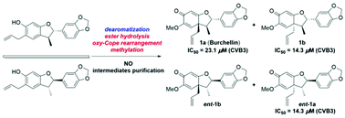 Graphical abstract: Burchellin and its stereoisomers: total synthesis, structural elucidation and antiviral activity