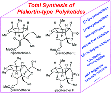 Graphical abstract: Recent advances in the synthesis of plakortin-type polyketides