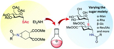 Graphical abstract: One pot synthesis of thio-glycosides via aziridine opening reactions