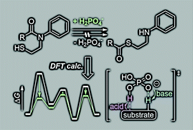 Graphical abstract: Theoretical study on reaction mechanism of phosphate-catalysed N–S acyl transfer of N-sulfanylethylanilide (SEAlide)