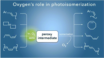 Graphical abstract: Synthetic feasibility of oxygen-driven photoisomerizations of alkenes and polyenes