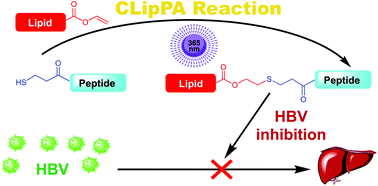 Graphical abstract: Thiol–ene enabled preparation of S-lipidated anti-HBV peptides