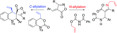 Graphical abstract: N-Allylation versus C-allylation of intermediates from aza-Michael adducts of arylideneisoxazol-5-ones