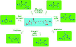 Graphical abstract: Pyrrole carboxamide introduction in the total synthesis of pyrrole–imidazole alkaloids