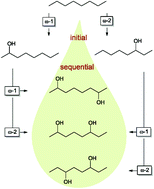 Graphical abstract: Biocatalytic synthesis of non-vicinal aliphatic diols