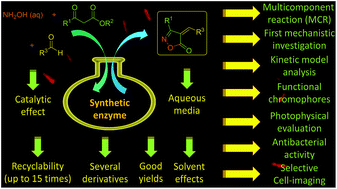 Graphical abstract: Synthetic enzyme-catalyzed multicomponent reaction for Isoxazol-5(4H)-one Syntheses, their properties and biological application; why should one study mechanisms?