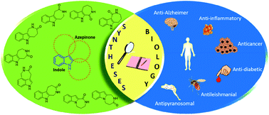 Graphical abstract: Syntheses and medicinal chemistry of azepinoindolones: a look back to leap forward