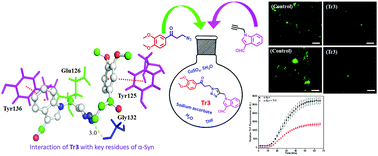 Graphical abstract: Unravelling the potency of triazole analogues for inhibiting α-synuclein fibrillogenesis and in vitro disaggregation