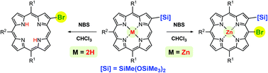 Graphical abstract: Central zinc metal-controlled regioselective meso-bromination of zincated β-silylporphyrins—rapid access to meso,β-dual-functionalized porphyrins
