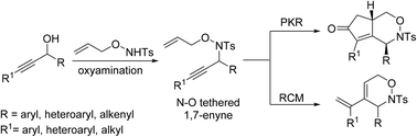 Graphical abstract: Facile access to [1,2]-oxazine derivatives via annulations of aminoxy-tethered 1,7-enynes