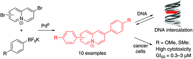 Graphical abstract: Synthesis, DNA-binding and antiproliferative properties of diarylquinolizinium derivatives