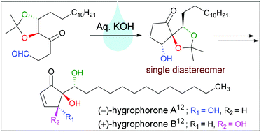 Graphical abstract: Stereoselective total syntheses of (−)-hygrophorone A12, 4-O-acetyl-hygrophorone A12 and (+)-hygrophorone B12