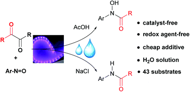 Graphical abstract: Catalyst-free generation of acyl radicals induced by visible light in water to construct C–N bonds
