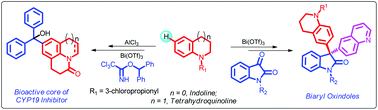 Graphical abstract: Bismuth(iii)-catalyzed regioselective alkylation of tetrahydroquinolines and indolines towards the synthesis of bioactive core-biaryl oxindoles and CYP19 inhibitors