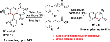 Graphical abstract: Visible-light promoted oxidative cyclization of cinnamic acid derivatives using xanthone as the photocatalyst