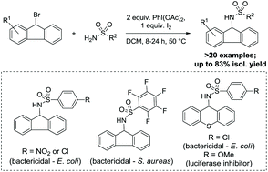 Graphical abstract: PhI(OAc)2 and iodine-mediated synthesis of N-alkyl sulfonamides derived from polycyclic aromatic hydrocarbon scaffolds and determination of their antibacterial and cytotoxic activities