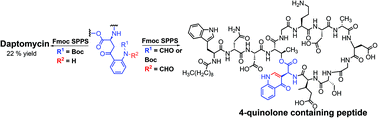 Graphical abstract: A high-yielding solid-phase total synthesis of daptomycin using a Fmoc SPPS stable kynurenine synthon