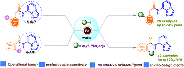Graphical abstract: 8-Aminoimidazo[1,2-a]pyridine (AIP) directed Pd(ii) catalysis: site-selective ortho-C(sp2)–H arylation in aqueous medium