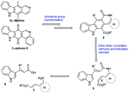 Graphical abstract: Exploiting an intramolecular Diels–Alder cyclization/dehydro-aromatization sequence for the total syntheses of ellipticines and calothrixin B