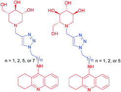 Graphical abstract: Tacrine-sugar mimetic conjugates as enhanced cholinesterase inhibitors