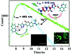 Graphical abstract: Unusual absence of FRET in triazole bridged coumarin–hydroxyquinoline, an active sensor for Hg2+ detection