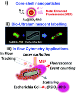 Graphical abstract: In flow metal-enhanced fluorescence for biolabelling and biodetection