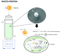 Graphical abstract: Microcystis aeruginosa inactivation and microcystin-LR degradation by the photo-Fenton process at the initial near-neutral pH
