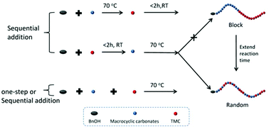 Graphical abstract: Facile preparation of long-chain aliphatic polycarbonates containing block copolycarbonates via one-pot sequential organic catalyzed polymerization of macrocyclic carbonates and trimethylene carbonates