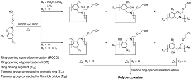 Graphical abstract: Cyclo-oligomerization of hydroxyl-containing mono-functional benzoxazines: a mechanism for oligomer formation