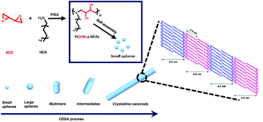 Graphical abstract: Scalable preparation of crystalline nanorods through sequential polymerization-induced and crystallization-driven self-assembly of alternating copolymers