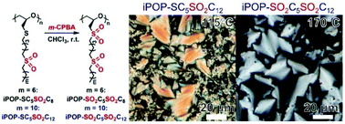 Graphical abstract: Effects of tacticity and chiral center-to-dipole distance on mesogen-free liquid crystalline self-assembly of sulfonyl-containing comb-like polymers