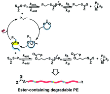 Graphical abstract: Dithiocarbamate-mediated controlled copolymerization of ethylene with cyclic ketene acetals towards polyethylene-based degradable copolymers