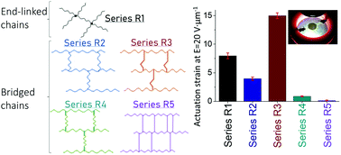 Graphical abstract: Silicone dielectric elastomers optimized by crosslinking pattern – a simple approach to high-performance actuators