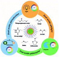 Graphical abstract: Development and disassembly of single and multiple acid-cleavable block copolymer nanoassemblies for drug delivery