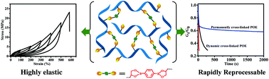 Graphical abstract: Highly elastic, strong, and reprocessable cross-linked polyolefin elastomers enabled by boronic ester bonds