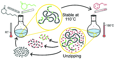 Graphical abstract: Turning natural δ-lactones to thermodynamically stable polymers with triggered recyclability