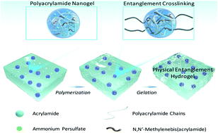 Graphical abstract: Physical entanglement hydrogels: ultrahigh water content but good toughness and stretchability
