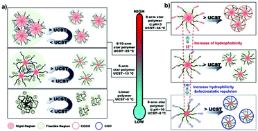 Graphical abstract: Synthesis of star-shaped polyzwitterions with adjustable UCST and fast responsiveness by a facile RAFT polymerization